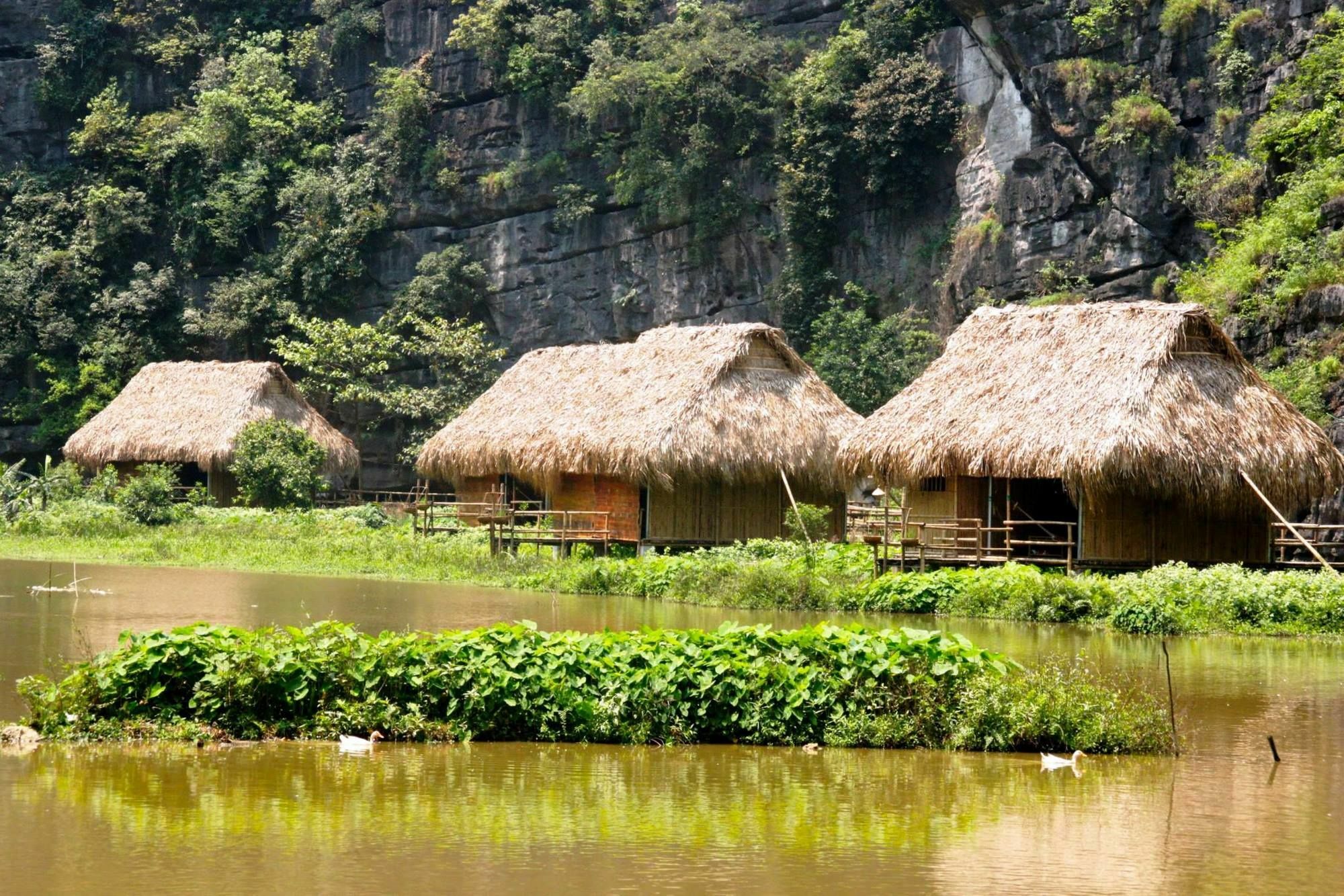 Nguyen Shack - Ninh Binh Lägenhet Exteriör bild