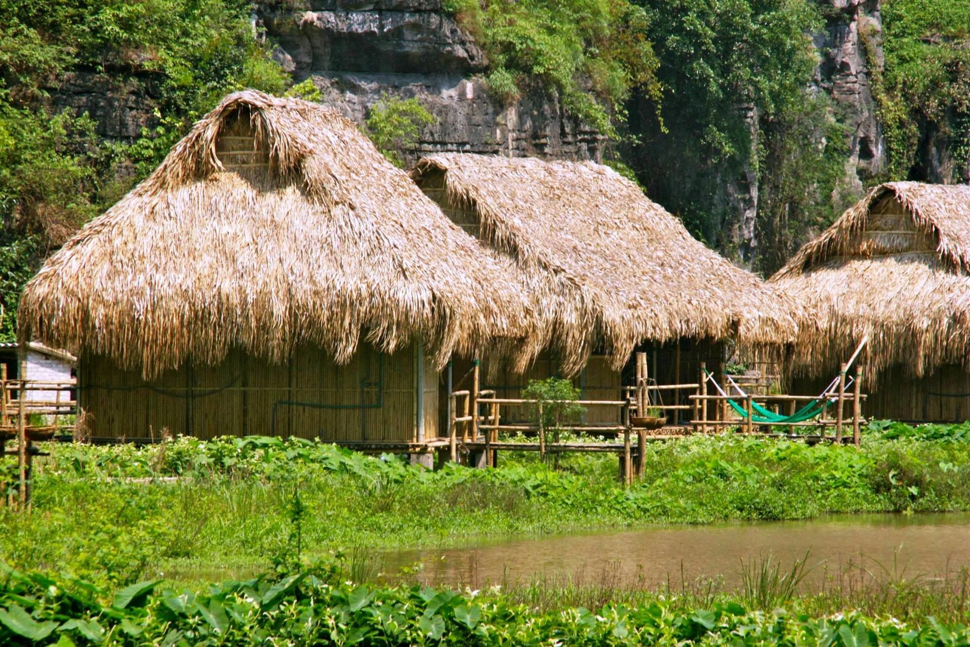 Nguyen Shack - Ninh Binh Lägenhet Exteriör bild