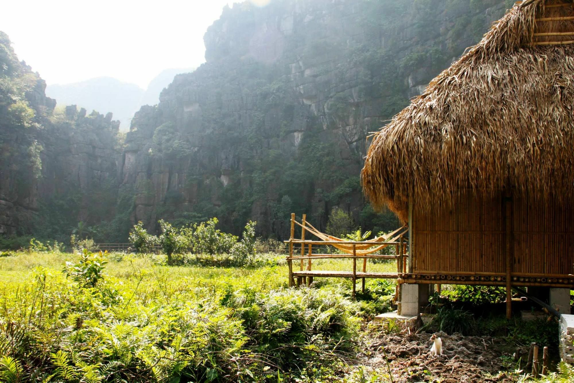 Nguyen Shack - Ninh Binh Lägenhet Exteriör bild